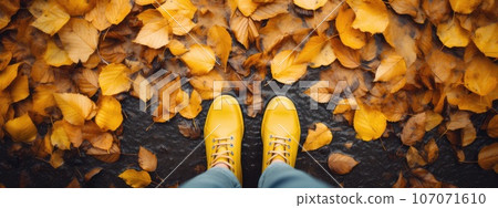 yellow boots on autumn leaves in the park. protect your feet from the rain. Autumn has come. yellow leaves. 107071610