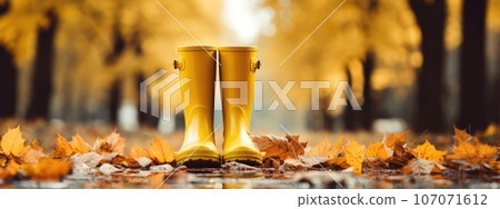 rubber yellow boots on autumn leaves in the park. protect your feet from the rain. Autumn has come. yellow leaves. rubber yellow boots on autumn leaves in the park. protect your feet from the rain. Autumn has come. yellow leaves. 107071612