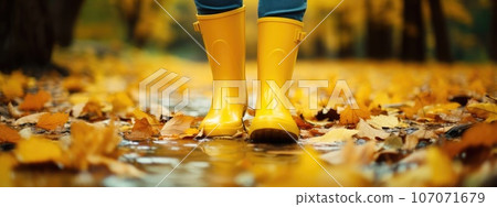rubber yellow boots on autumn leaves in the park. protect your feet from the rain. Autumn has come. yellow leaves. rubber yellow boots on autumn leaves in the park. protect your feet from the rain. Autumn has come. yellow leaves. 107071679