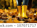 rubber yellow boots on autumn leaves in the park. protect your feet from the rain. Autumn has come. yellow leaves. 107071717