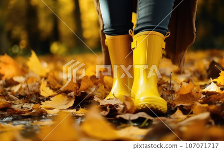 rubber yellow boots on autumn leaves in the park. protect your feet from the rain. Autumn has come. yellow leaves. 107071717
