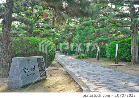 [Shoin Shrine (Path of Learning)] Tsubakihigashi, Hagi City, Yamaguchi Prefecture 107072022