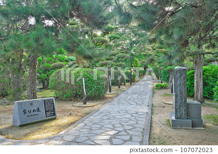 [Shoin Shrine (Path of Learning)] Tsubakihigashi, Hagi City, Yamaguchi Prefecture 107072023