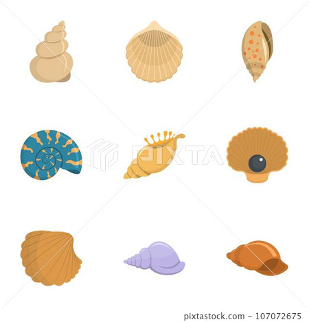 Conch icons set. Cartoon set of 9 conch vector icons for web isolated on white background 107072675