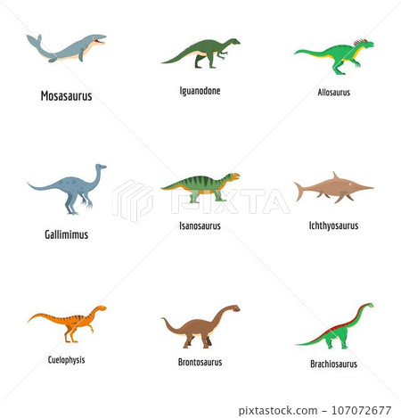 View of lizard icons set. Cartoon set of 9 view of lizard vector icons for web isolated on white background 107072677