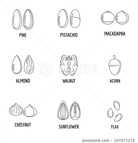 Walnut oil icons set. Outline set of 9 walnut oil vector icons for web isolated on white background Walnut oil icons set. Outline set of 9 walnut oil vector icons for web isolated on white background 107073218