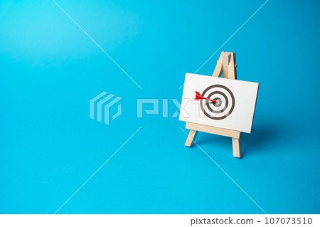 The red arrow hits the center of the target. Right on target on the first try. Advertising, marketing and targeting. Clear and specific goals. Accurate decisions. Archery. Striving for excellence 107073510