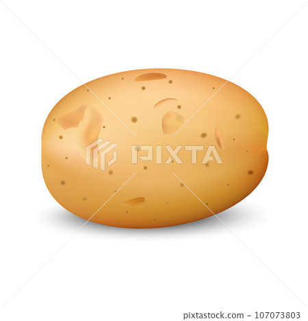 Yellow potato mockup. Realistic illustration of yellow potato vector mockup for web design isolated on white background Yellow potato mockup. Realistic illustration of yellow potato vector mockup for web design isolated on white background 107073803