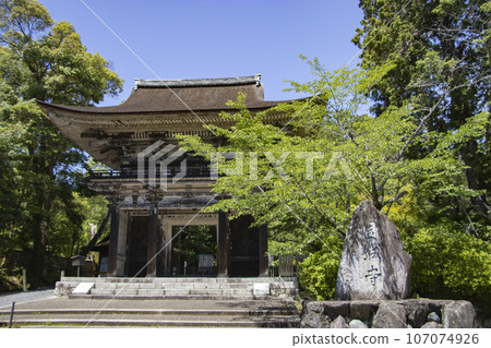 Onjoji Temple Niomon 107074926