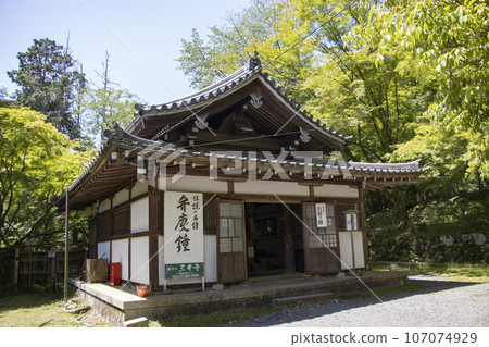 圓城寺大殿 107074929