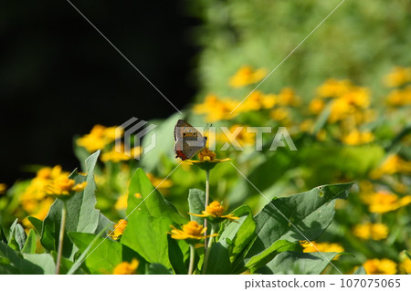 Yamadaike Park Yamadaike Park 107075065