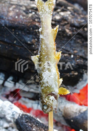 營地烤魚 107075478