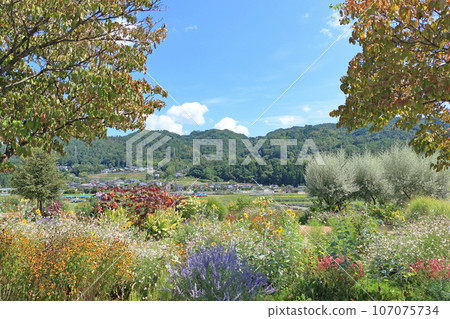 Ikeda Town Herb Station Flower and Herb Garden 107075734
