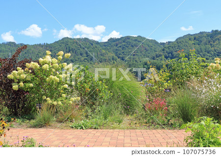 Ikeda Town Herb Station Flower and Herb Garden Ikeda Town Herb Station Flower and Herb Garden 107075736