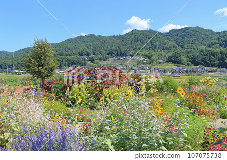 池田町藥草站花與藥草園 池田町藥草站花與藥草園 107075738