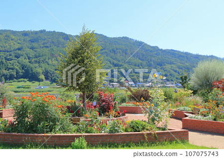 池田町藥草站花與藥草園 池田町藥草站花與藥草園 107075743