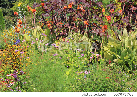 池田町藥草站花與藥草園 池田町藥草站花與藥草園 107075763