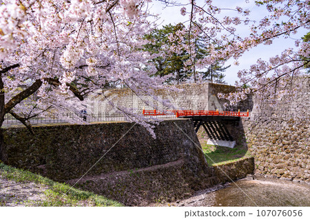 Aizuwakamatsu City, Fukushima Prefecture Moat and corridor bridge of Aizuwakamatsu Castle in spring with cherry blossoms overlooking the castle tower 107076056