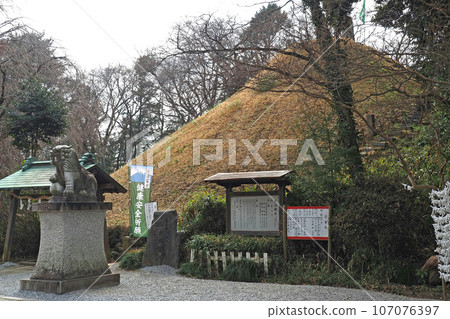 東沼神社藤塚[埼玉縣川口市] 107076397