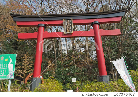 Torii of Higashinuma Shrine [Kawaguchi City, Saitama Prefecture] 107076408