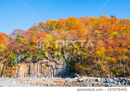 Autumn leaves in Hachimantai/Matsukawa Valley (Matsukawa basalt) Autumn leaves in Hachimantai/Matsukawa Valley (Matsukawa basalt) 107076468