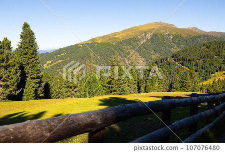 Alpine woodlands at foot of rocky Munt de Fornella in Dolomites 107076480