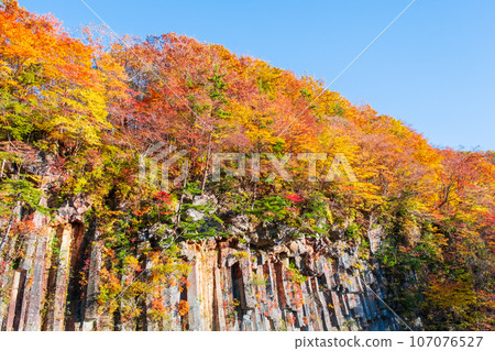 Autumn leaves in Hachimantai/Matsukawa Valley (Matsukawa basalt) 107076527