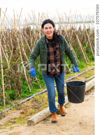 Female farmer carries a bucket of peas on farm field 107076560