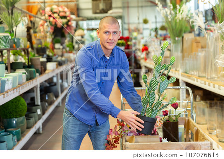 Man purchasing replica of cactus in store 107076613