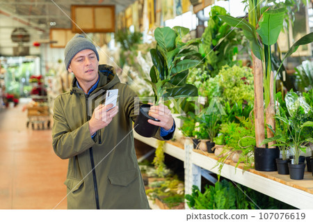 Man picking pot with replica plant in shop and photographing it 107076619