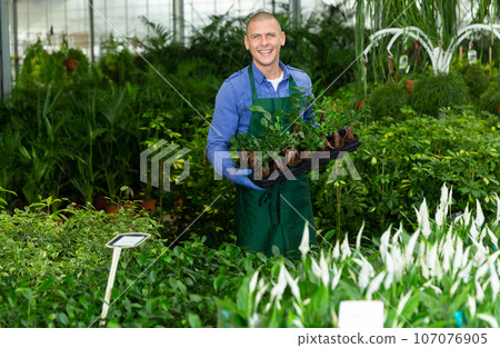 Portrait of man tending and cultivating flowers Portrait of man tending and cultivating flowers 107076905