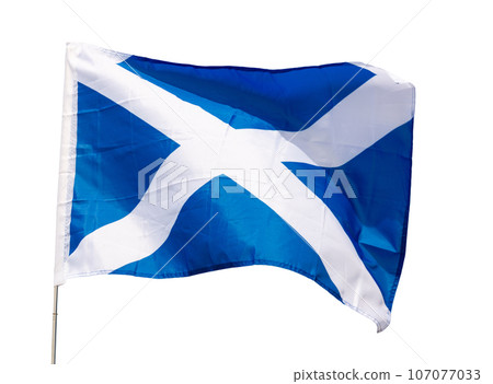 Large flag of Scotland waving Large flag of Scotland waving 107077033