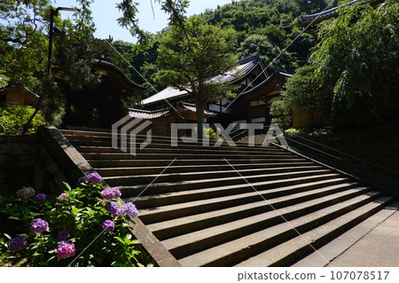 Engakuji Temple Karamon Imperial Envoy Gate Engakuji Temple Karamon Imperial Envoy Gate 107078517