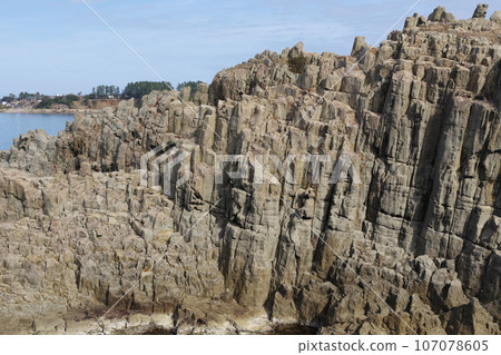 Echizen Coast Tojinbo 107078605