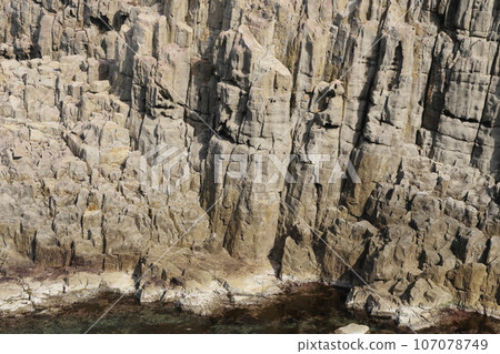 Echizen Coast Tojinbo Cliff Echizen Coast Tojinbo Cliff 107078749