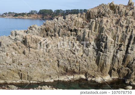 Echizen Coast Tojinbo Cliff 107078750