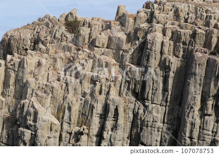 越前海岸東尋坊 越前海岸東尋坊 107078753