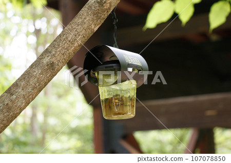 Pest extermination equipment for leisure facilities: Image of bee repellent 107078850
