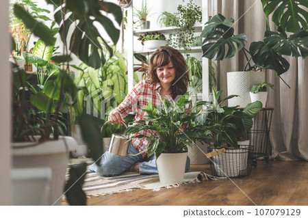 A young woman enjoys caring for flowers. Watering indoor plants and admiring them. A young woman enjoys caring for flowers. Watering indoor plants and admiring them. 107079129