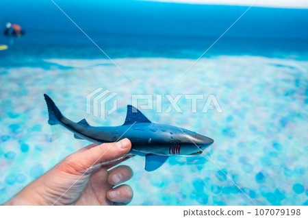 Great white shark plastic toy on the surface of a swimming pool Great white shark plastic toy on the surface of a swimming pool 107079198