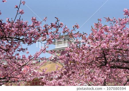 Blue sky, castle and cherry blossoms Blue sky, castle and cherry blossoms 107080394