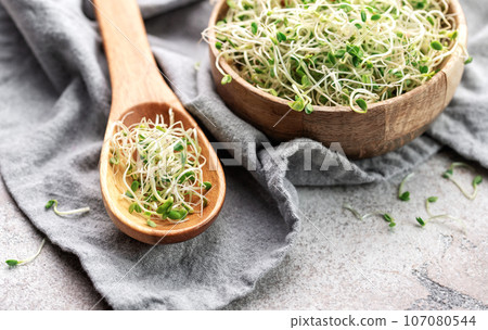 Microgreens grown in a jar. 107080544