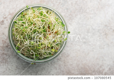 Microgreens grown in a jar. 107080545