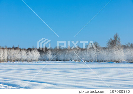 Rime and blue sky 107080580