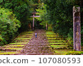 Mossy stone steps 107080593