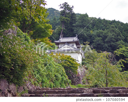 Izushi Castle 107080594