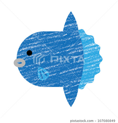 Hand-drawn style illustration of a sunfish Hand-drawn style illustration of a sunfish 107080849