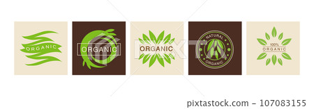 Organic and Natural Product Labels and Emblem with Green Leaf Vector Set 107083155