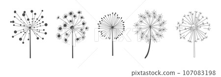 Dandelion Signs Black Thin Line Icon Vector Set 107083198