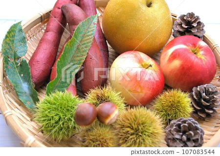 Assortment of autumn taste Assortment of autumn taste 107083544